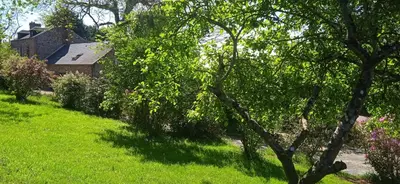 Jardin de l'établissement Mont Pley