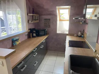 Cuisine ou kitchenette dans l'établissement Le Cocon de Mahé