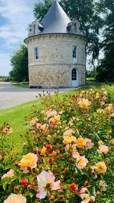 Jardin de l'établissement Chambres Vaugoubert