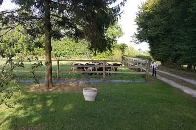 Jardin de l'établissement La Bocagère d' Henri