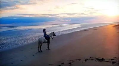Animaux dans la maison de vacances ou à proximité