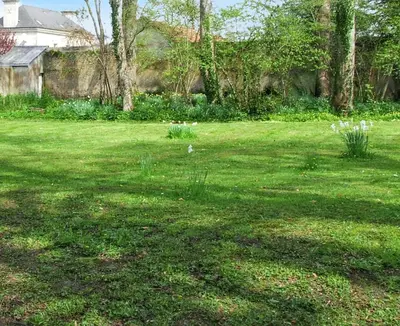 Jardin de l'établissement Maison charmante à Ryes avec jardin clos et accès PMR