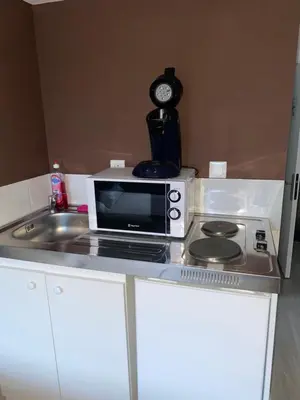 Cuisine ou kitchenette dans l'établissement La Dilichambre