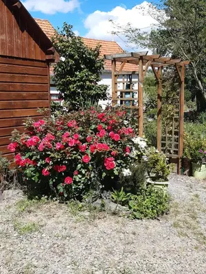 Jardin de l'établissement Chalet insolite