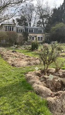 Jardin de l'établissement Abbaye aux hommes, un charmant cocon pour 2,3 ou 4!