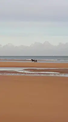 Paysage naturel près de l'appartement