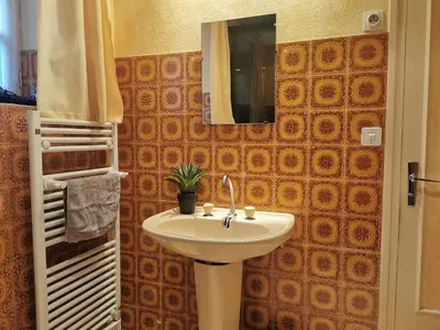 Salle de bains dans l'établissement Holiday Home La maison bleue by Interhome