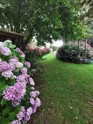 Jardin de l'établissement Grenier de l, IRIS