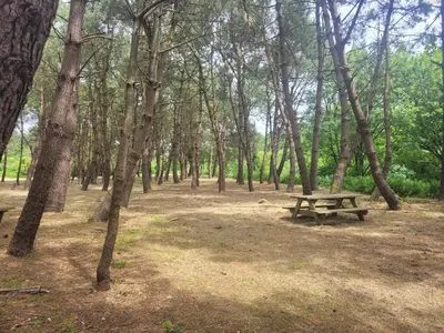 Paysage naturel près de la maison de vacances